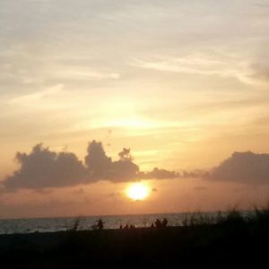 Meet your Posher, Nevaeh